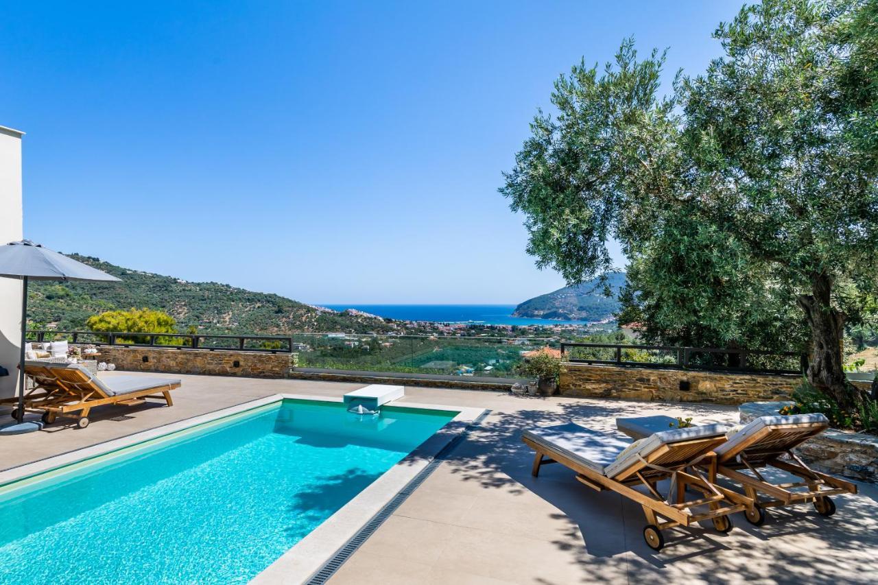 Villa Antigone Luxury Retreat スコペロス エクステリア 写真