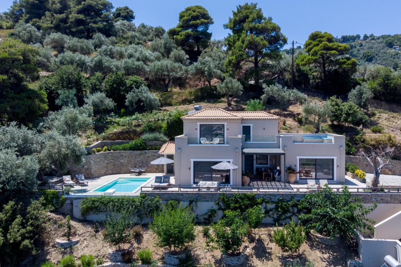 Villa Antigone Luxury Retreat スコペロス エクステリア 写真