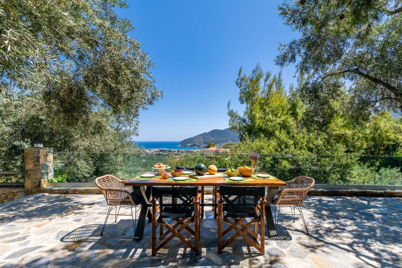 Villa Antigone Luxury Retreat スコペロス エクステリア 写真