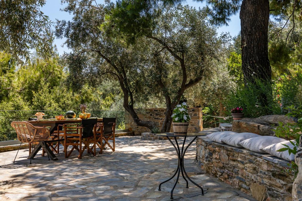 Villa Antigone Luxury Retreat スコペロス エクステリア 写真