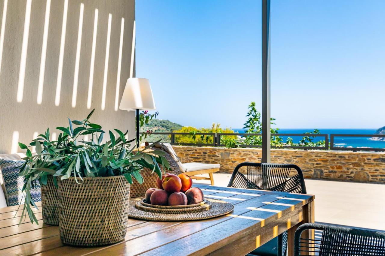 Villa Antigone Luxury Retreat スコペロス エクステリア 写真